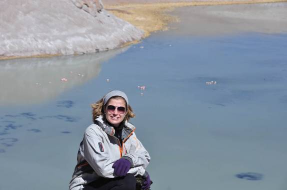 Observando os flamingos da Laguna Santa Rosa, no Parque Nacional Nevado Tres Cruces, região do Paso San Francisco, próximo à Copiapo, no Chile